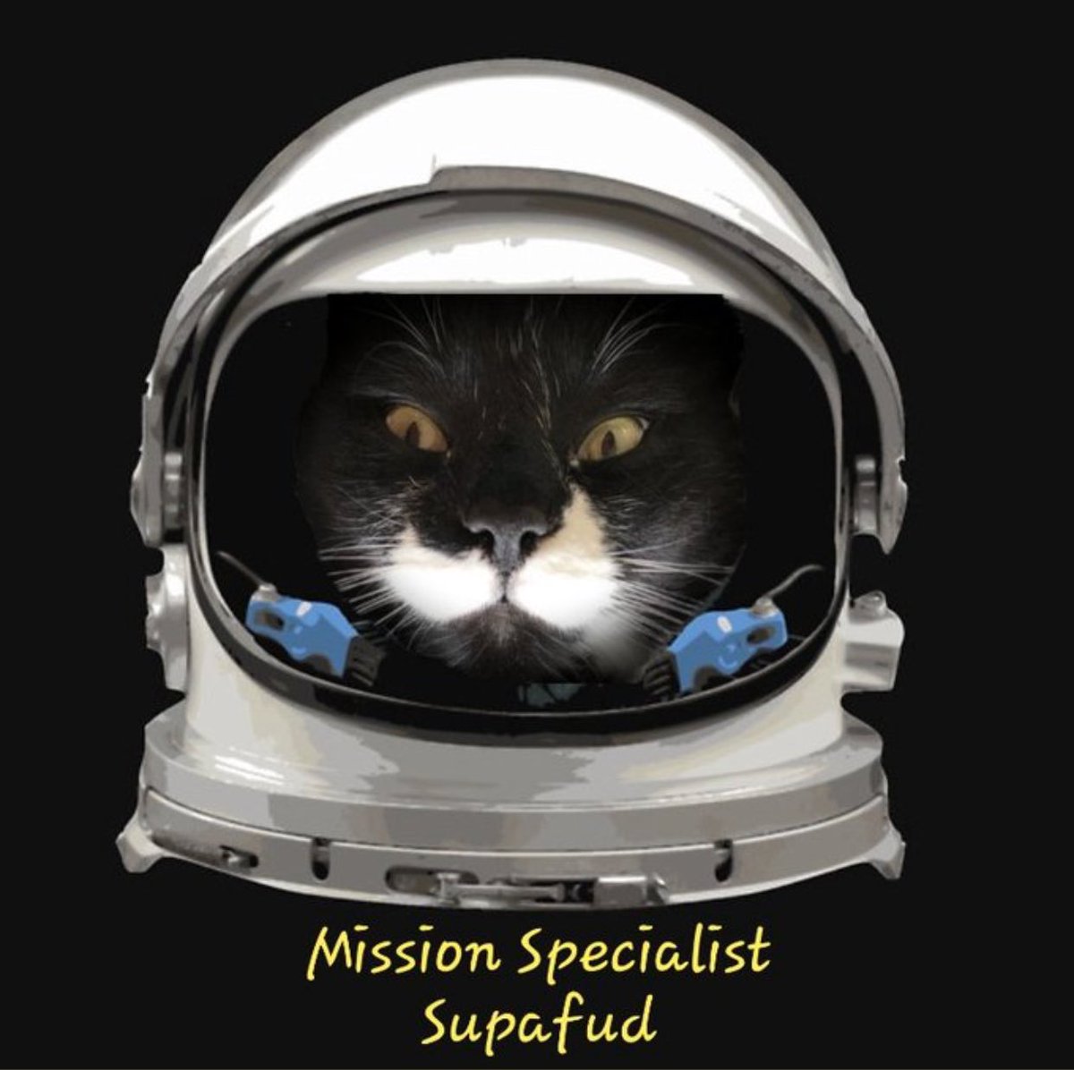 SupaFud's tweet photo. @giantcat9 #SpaceFurce https://t.co/vaPC1lnbQz