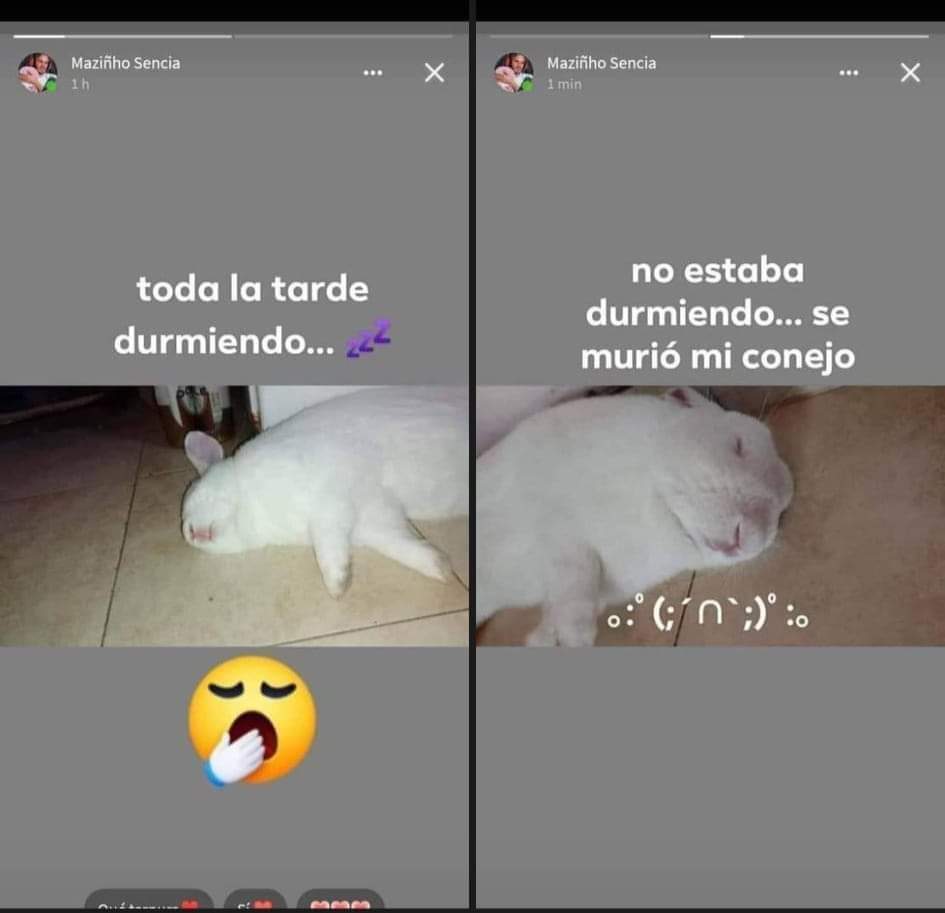 Por qué HOY tweet media