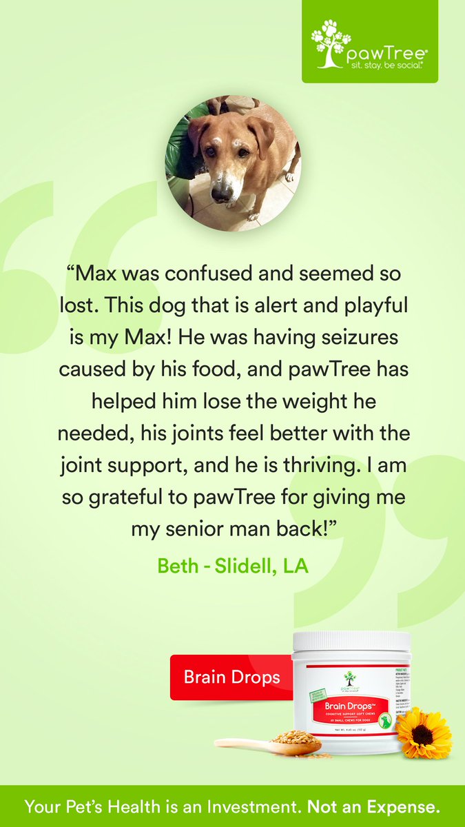 therealmooders's tweet photo. For our older dogs https://t.co/iFo3gBJ9Pw