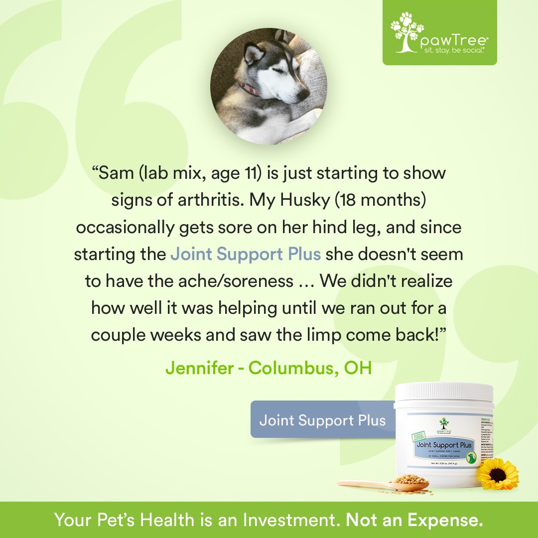 therealmooders's tweet photo. Keep their joints healthy https://t.co/H1VUCRBh0K