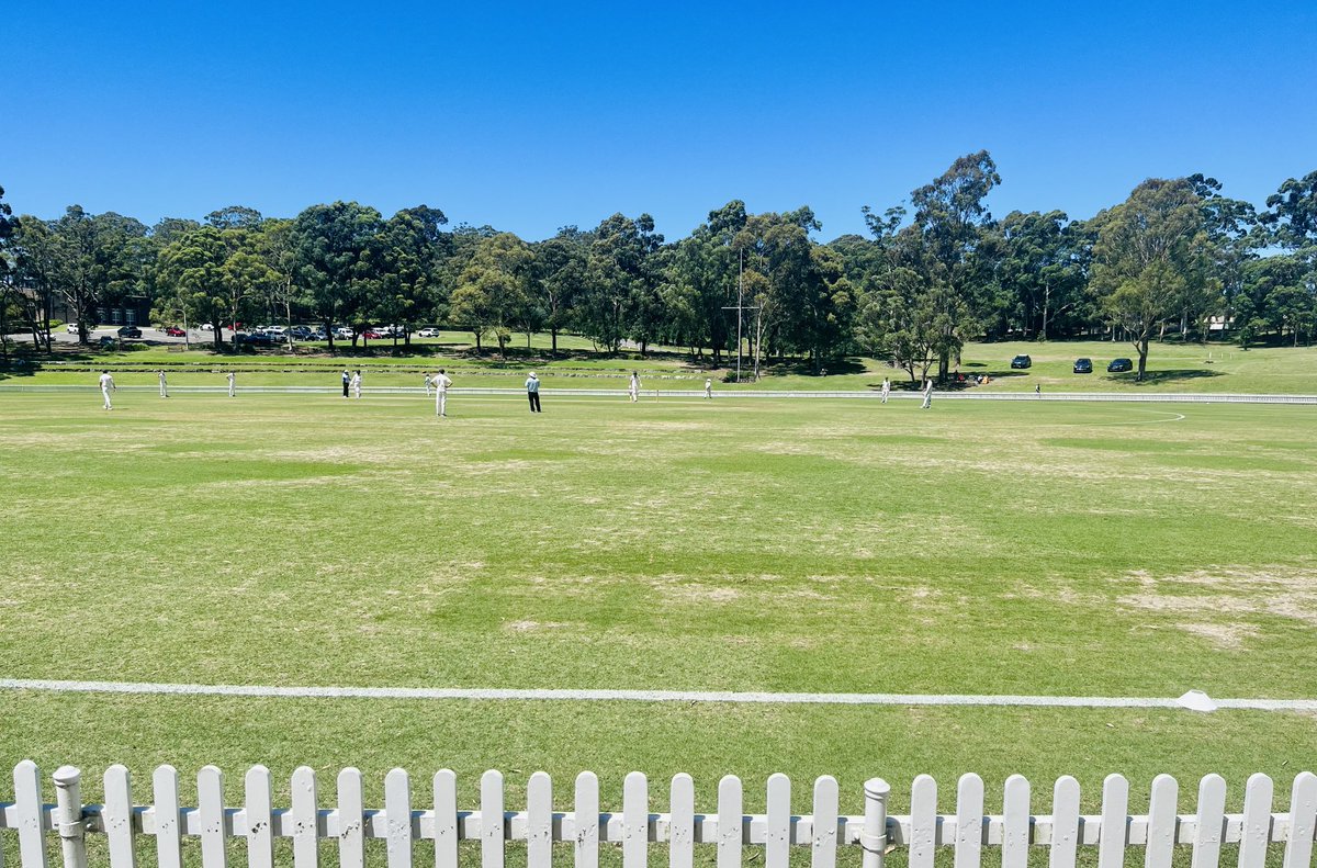 Luke Gilmour tweet media