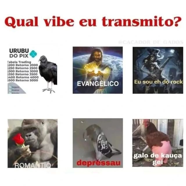 shitpostverdade's tweet photo. https://t.co/iPKchn22Ng