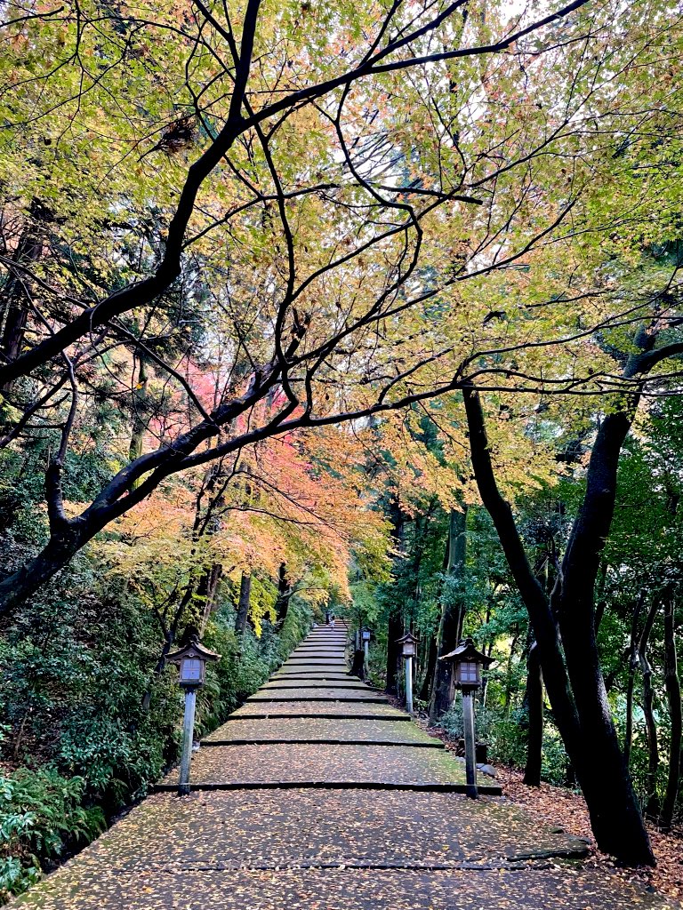 SiVb67hfoc's tweet photo. 日本三大縁結びの神様がいる、金沢の白山比咩(しらやまひめ)神社⛩ここに行った友だちがみんなあっという間にどんどん幸せになっていたから1年前に行ったんだ。行ってすぐに悪縁をバッサリ断ち、とんでもない良縁が結ばる結ばれる、どんどん結ばれる。行くとわかるけど、空間のパワー漲りまくってる🧘‍♀️ https://t.co/uGkm338wvO