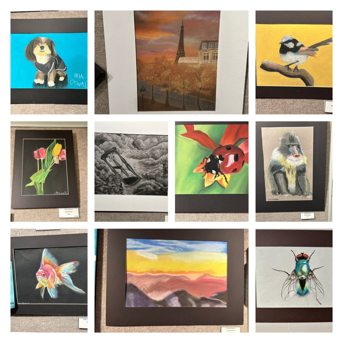 SeidaBryan's tweet photo. Museum of Gulf Coast Contest #pngproud #pnghs https://t.co/ZXrldlRBzq