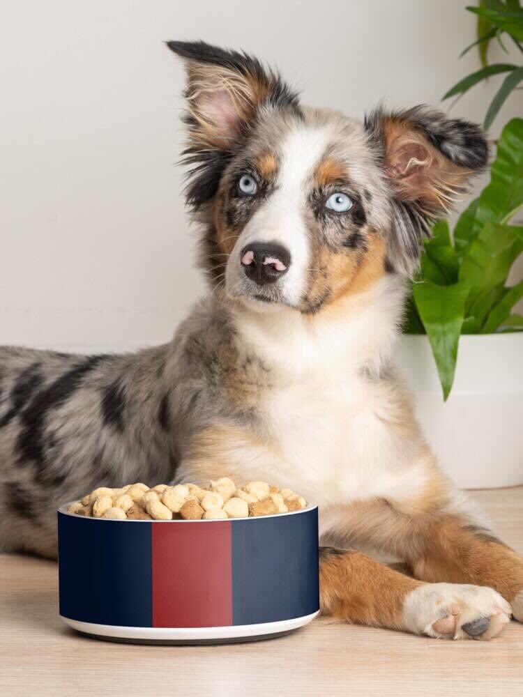 pulaskishepherd's tweet photo. ❤️ SAVE 20% on EVERYTHING at the Pulaski Shepherd Clothing & Supply Co. storefront on Redbubble! ⭐️
“Navy Red” Pet Bowls
#PulaskiShepherdCo
#PSCSCo
#NavyRed
#PetBowl
#Redbubbleartists
#RedBubble
https://t.co/iiUEMSQajg https://t.co/w7z8I3PR2f