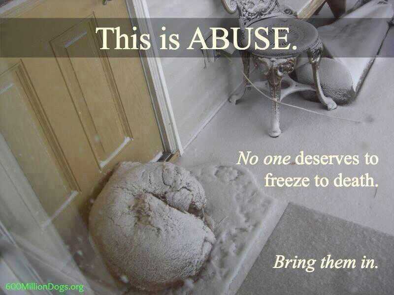 It's no way for a friend to die.
Please bring #dogs and #cats in from the #ExtremeCold 

#PolarVortex #coldwave #Weathercloud #ONStorm #texasicestorm #TexasFreeze 
#icestorm #dogsarefamily