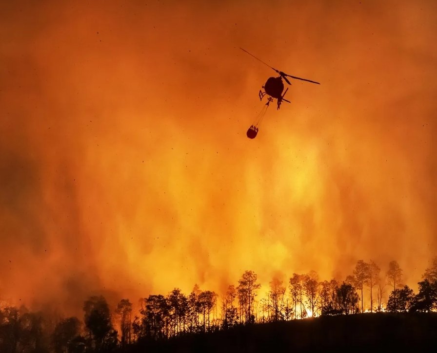 Son las grandes empresas de monocultivos responsables de los incendios forestales. ¿ Quienes están detrás?
Familia Luksic, Angelini y Matte.
El Modelo Forestal q avala el Estado quema las tierras. 
Solidaridad total con las comunidades afectadas.
#IncendiosForestales