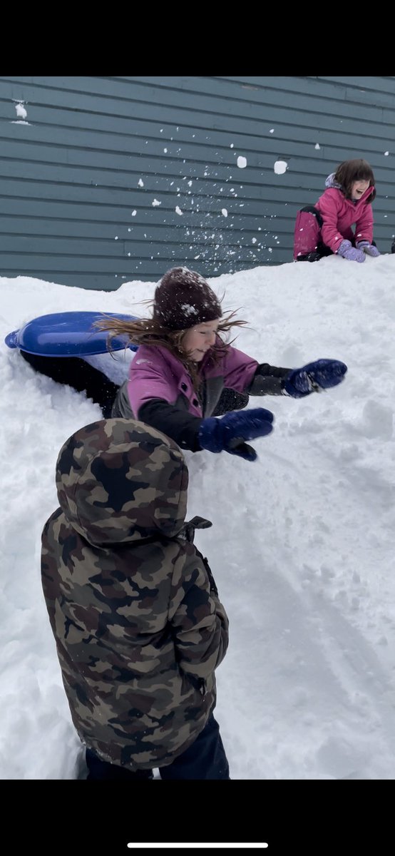 Likely School tweet media