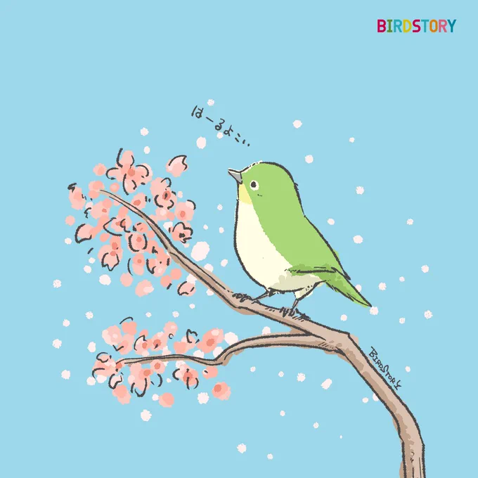 おはようございます。本日は2月4日、冬が極まり春の気配が立ち始める日、立春とのことです#BIRDSTORY #立春 #メジロ 