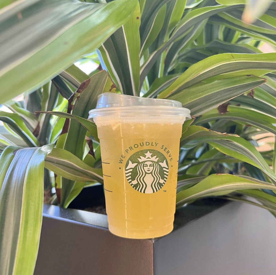 ClarkDining's tweet image. Sip on the best refresher from Starbucks directly at The Den!! 😋