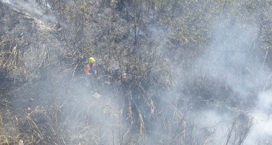 PCivilTachira's tweet photo. Ahora | Inician maniobras de #CombateDirecto con el uso de #Batidores y la aplicación de amplios volumenes de agua, a fin de sofocar y enfriar las llamas.
https://t.co/Ma1yEu82zr

@FreddyBernal
@cperezampueda @Gob_Tachira @PCivil_Ve @YesnardoC https://t.co/FbGT8xTjCJ