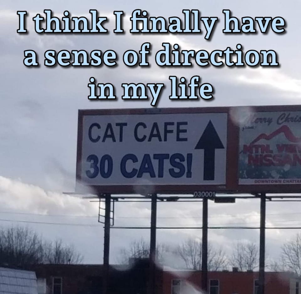 CATBRAINCELL's tweet photo. https://t.co/WCZe0KlFff