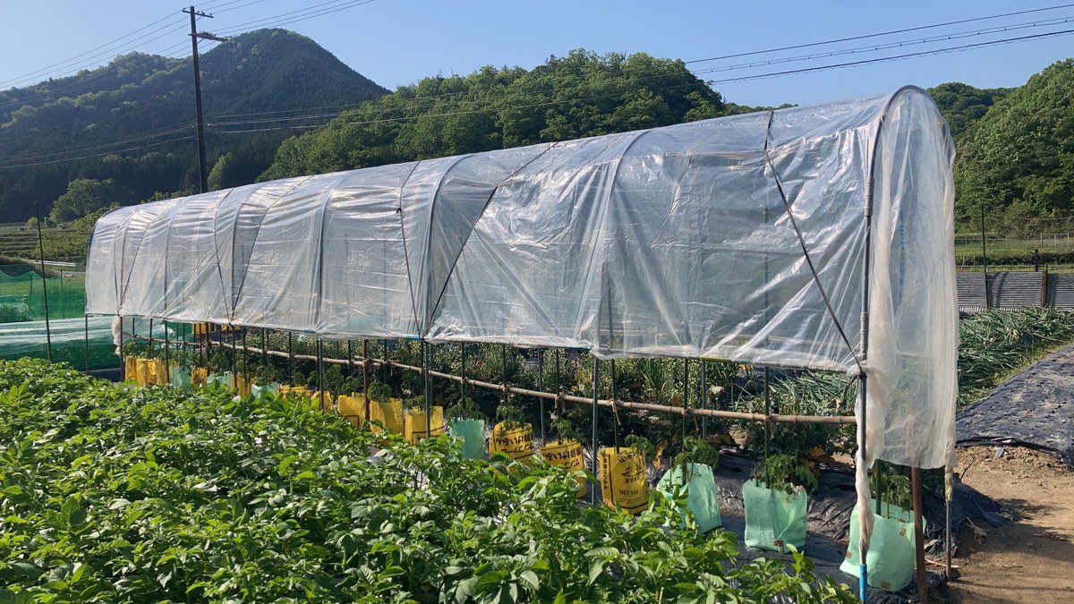 hidek510's tweet photo. おっ、面白そうなオヤジだな？と思ったら、フォロー願います。

男女関係なくSNS友達欲しいのでカラクロ乗りメインで、募集中です！

追加画像 https://t.co/JmCtM9Axno
