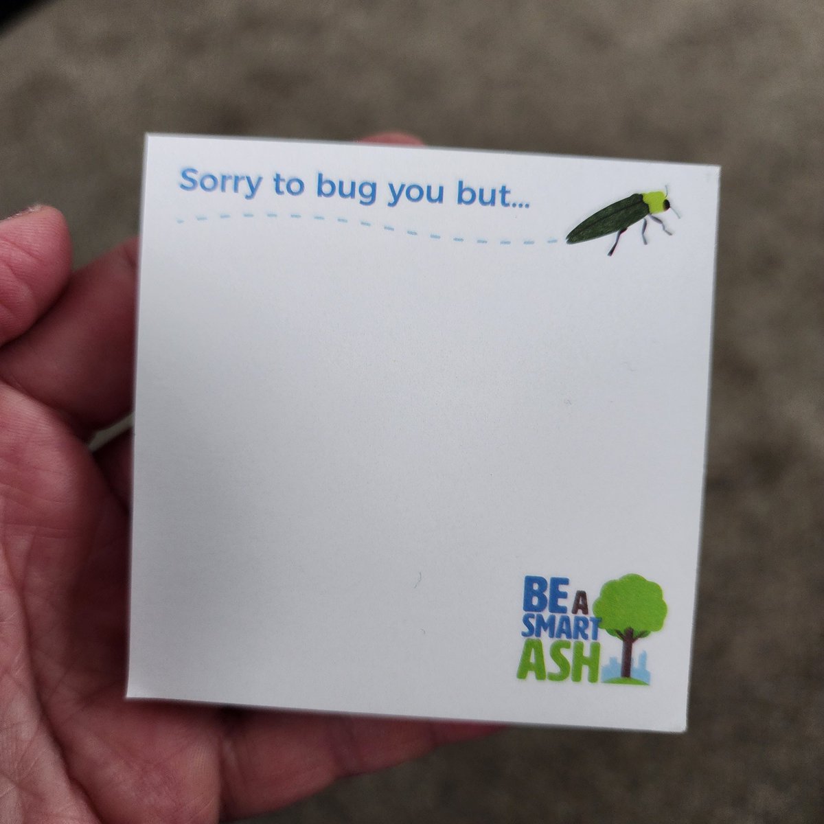 BugladySuzanne's tweet photo. Best tradeshow swag from #progreenexpo @progreenexpo #eab #invasive https://t.co/6LRwydjxvM
