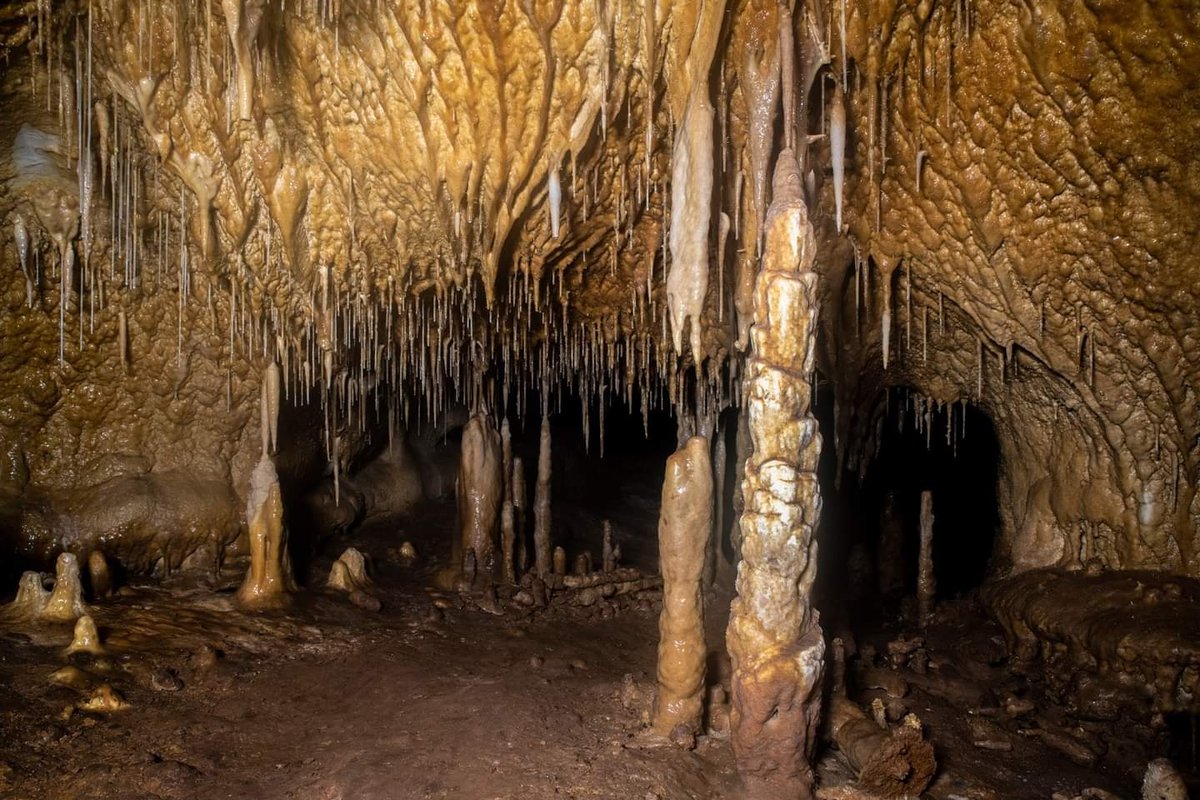 OndaCieza's tweet photo. Los investigadores de la Cueva del Arco de Cieza descubren una gran cavidad “que abre una nueva puerta a la prehistoria”
 https://t.co/jAEYxtjC4v https://t.co/G63S8Mtb5M