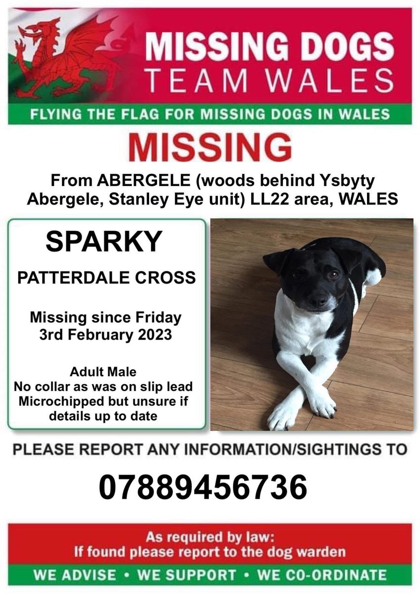 rosiedoc666's tweet image. ‼️SPARKY A #PATTERDALE CROSS IS MISSING FROM #ABERGELE (woods behind hospital) #LL22 area #WALES ‼️
Since Friday 3rd February 2023
facebook.com/groups/1919091…

@missingdogwales @juliagarland73 @AbergeleGolf @AbergeleCC @AbergeleLadies @abergelepost @fc_abergele @BryantDjbryant