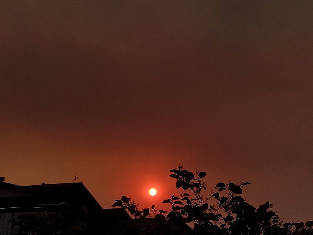 El Sol, con una tonalidad rojiza producto del humo de los incendios forestales, ha protagonizado el atardecer de #Concepción —Región del #BioBío— en este Viernes 03/Febrero/2023. La temp. máxima alcanzó 34.4°C (Fuente: EMA Ap. Carriel Sur —DMC—). #RedMeteo #ElTiempoCHV #CNNTiempo