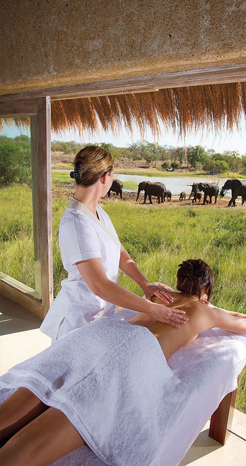 TimeHouseSpa1's tweet photo. This is a spa 

Male therapist available

Couple Massage available

.we have ladies . we have male therapist. we are located in dubai  .#hotelserviceavailable #female 
#dubai #massage #spa #Massagefemal #femalespa #women #homeservice Whatsapp for more information 
+9710589682436 https://t.co/pqc3yrSZAs