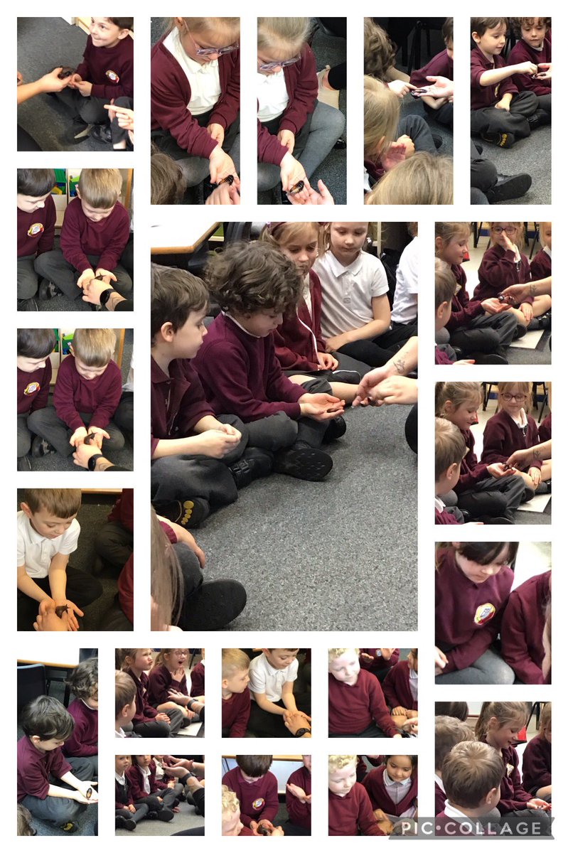 @Class2dps tweet media