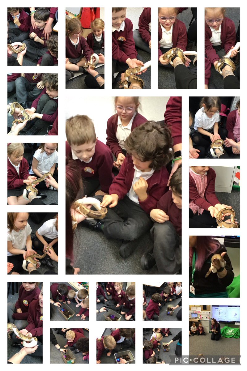 @Class2dps tweet media