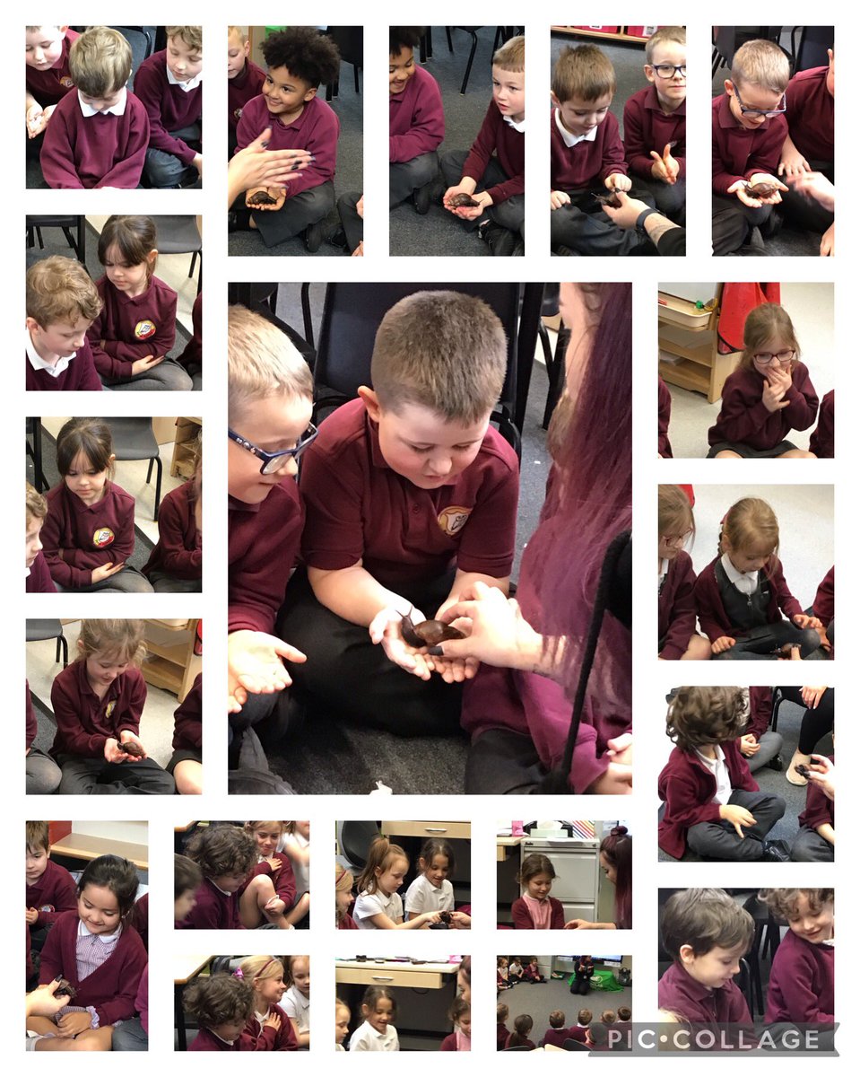 @Class2dps tweet media