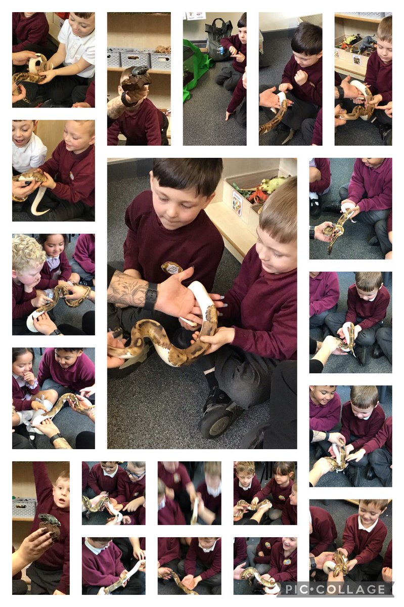 @Class2dps tweet media