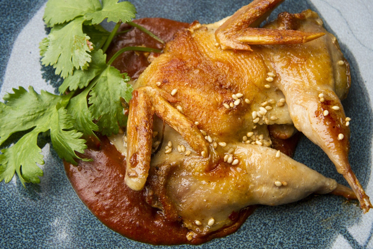 Are you made about mole sauce? Try it with quail. The ingredients in our spicy, sweet sauce are many, but it doesn’t take long to whip up and it richly enhances the delicate flavor of our Spanish quail.

Recipe: bit.ly/3IAI8Zn

Shop: bit.ly/3W2FH4R