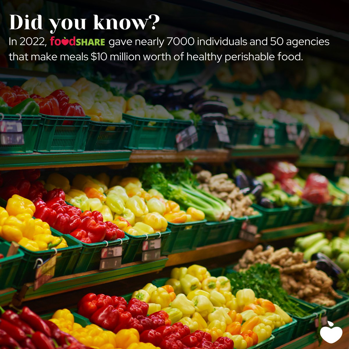 kamfoodbank's tweet photo. #foodSHAREfebruary🍎

In 2022, #foodSHARE gave nearly 7000 individuals and 50 agencies that make meals $10 million worth of healthy perishable food. Talk about impact!

#foodrecovery #hungerfreecommunity #kamloopsfoodbank #kamloops https://t.co/lk3kmz1lvY
