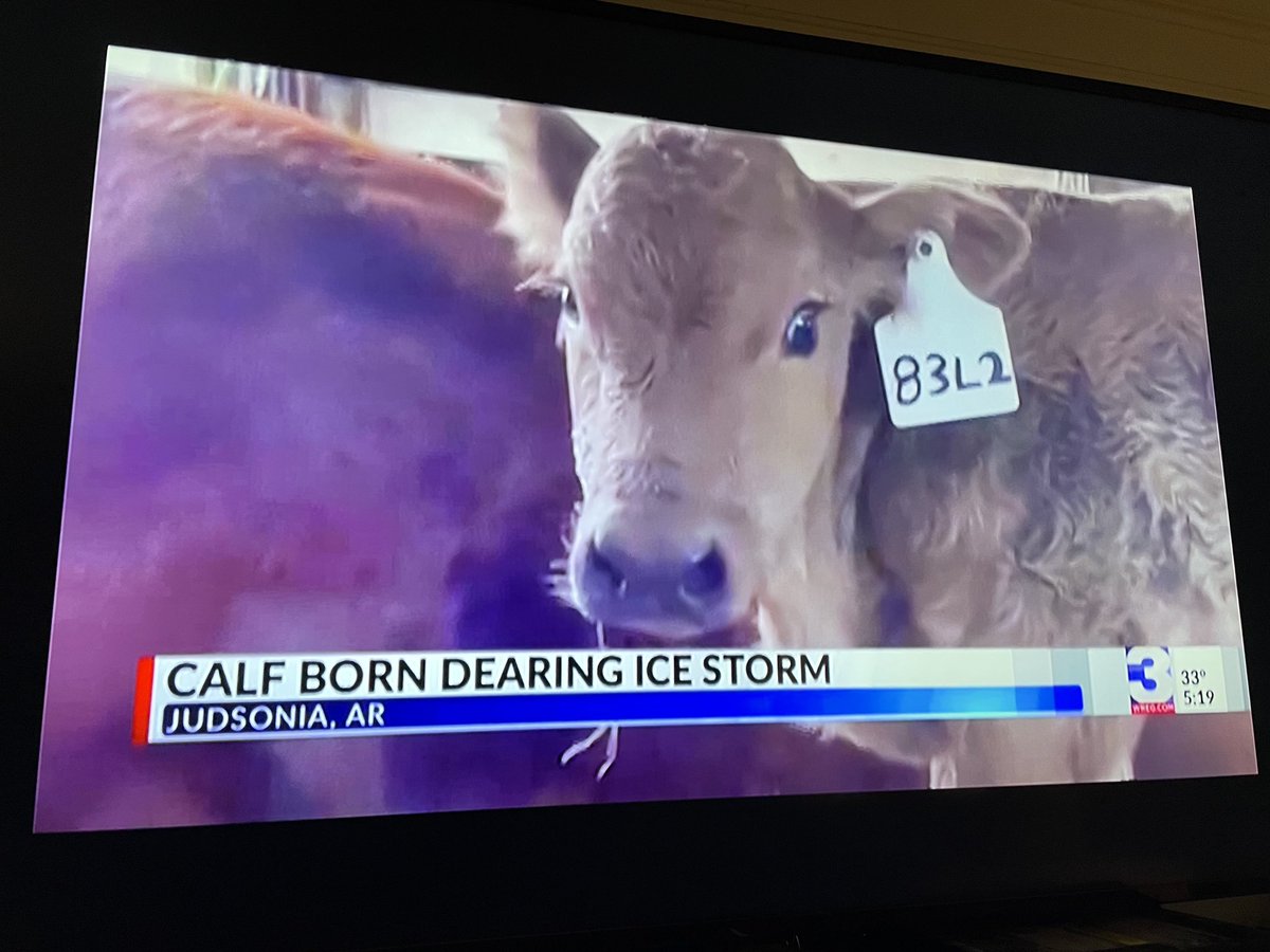 cameomorrow's tweet photo. @3onyourside Proofreading helps https://t.co/LalgX89G1E