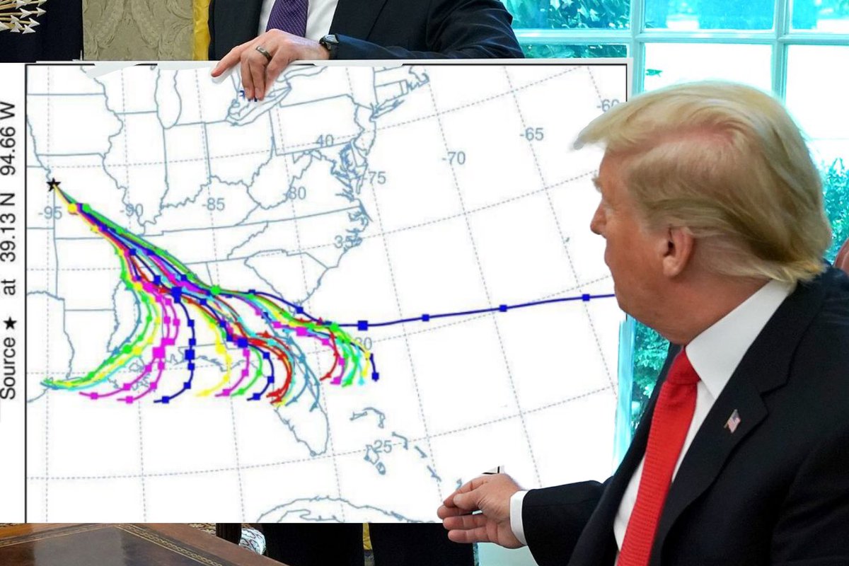 Not the Bee tweet media