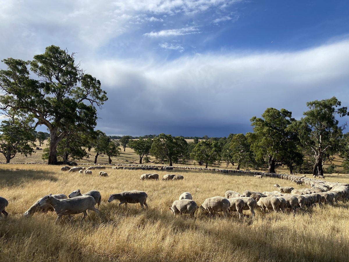 Tim Leeming tweet media