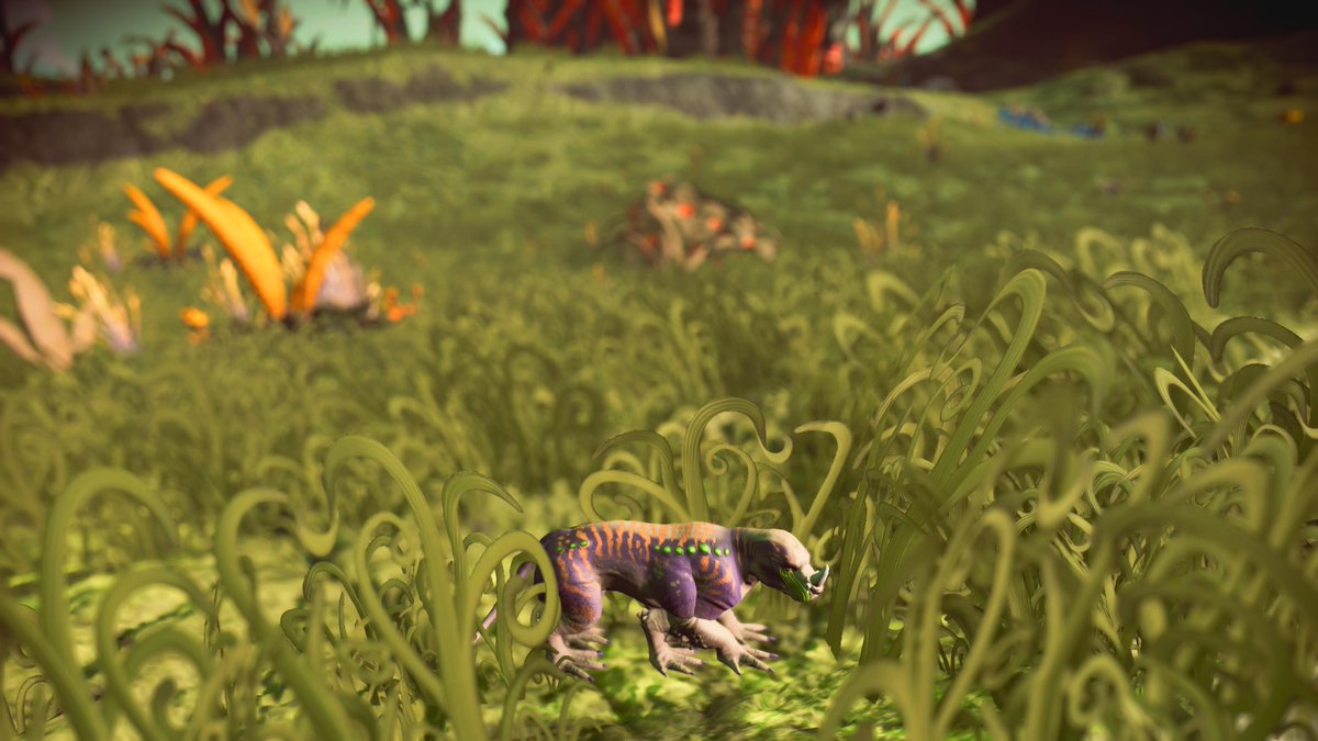 thirdpie7's tweet image. #NoMansSky