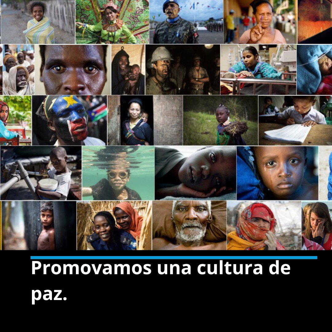 ONU_es's tweet photo. En este #DíaDeLaFraternidadHumana, promovamos el diálogo, la armonía entre religiones y el respeto mutuo para una humanidad más pacífica y solidaria.

Infórmate y participa: https://t.co/x9fzVNbgKh https://t.co/92q1pbSDoM