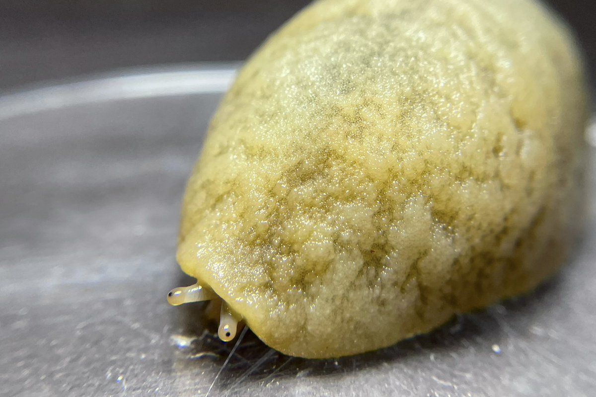 hi there! it’s this