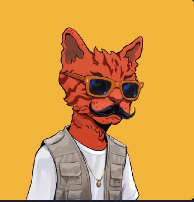 MoonBag_'s tweet image. Love seeing my feed filled with @AlleyKatzCNFT - excited for what’s to come! 

#JoinTheDestruction #AlleyKatz