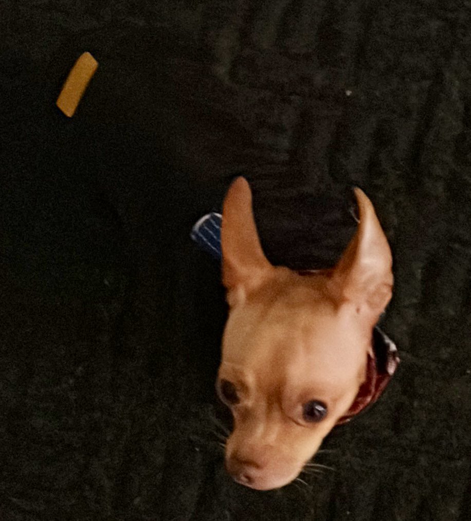 Jake gives no facks tweet media