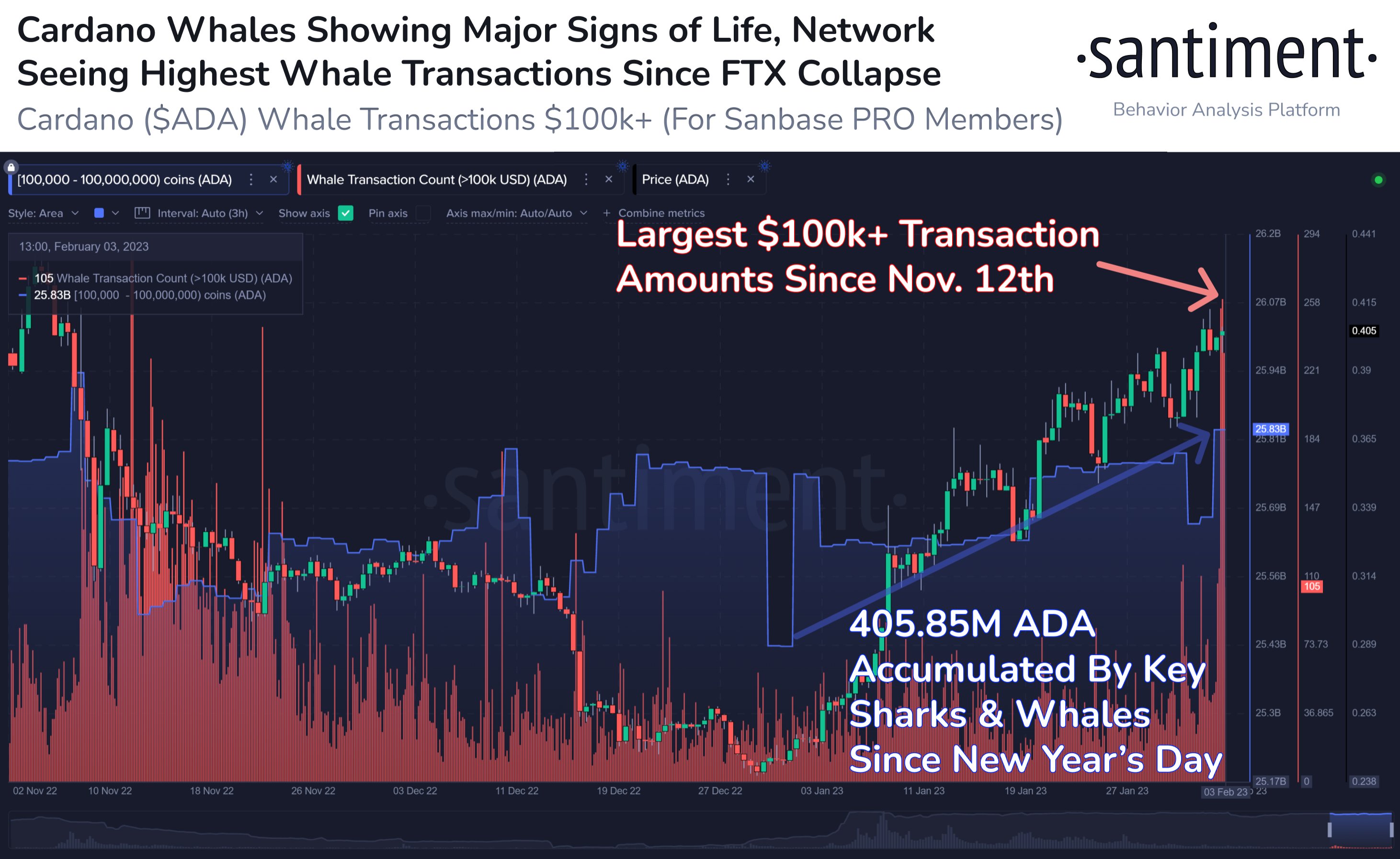  whales santiment cardano sharks accumulating data ada 