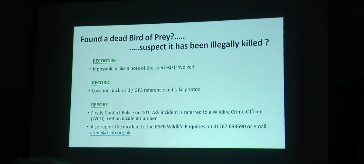 EBwSTweets's tweet photo. Some Essex raptor persecution facts and advice from tonight's excellent #ProjectCamTag presentation by @Raptor3ET. For more information and to find out how you can help this important project please visit https://t.co/xQHuCT6xLE @EssexBirdNews https://t.co/vDfT1Dh8XU