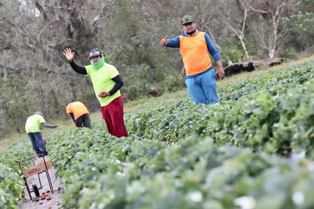 Marcelo Ebrard C. tweet media