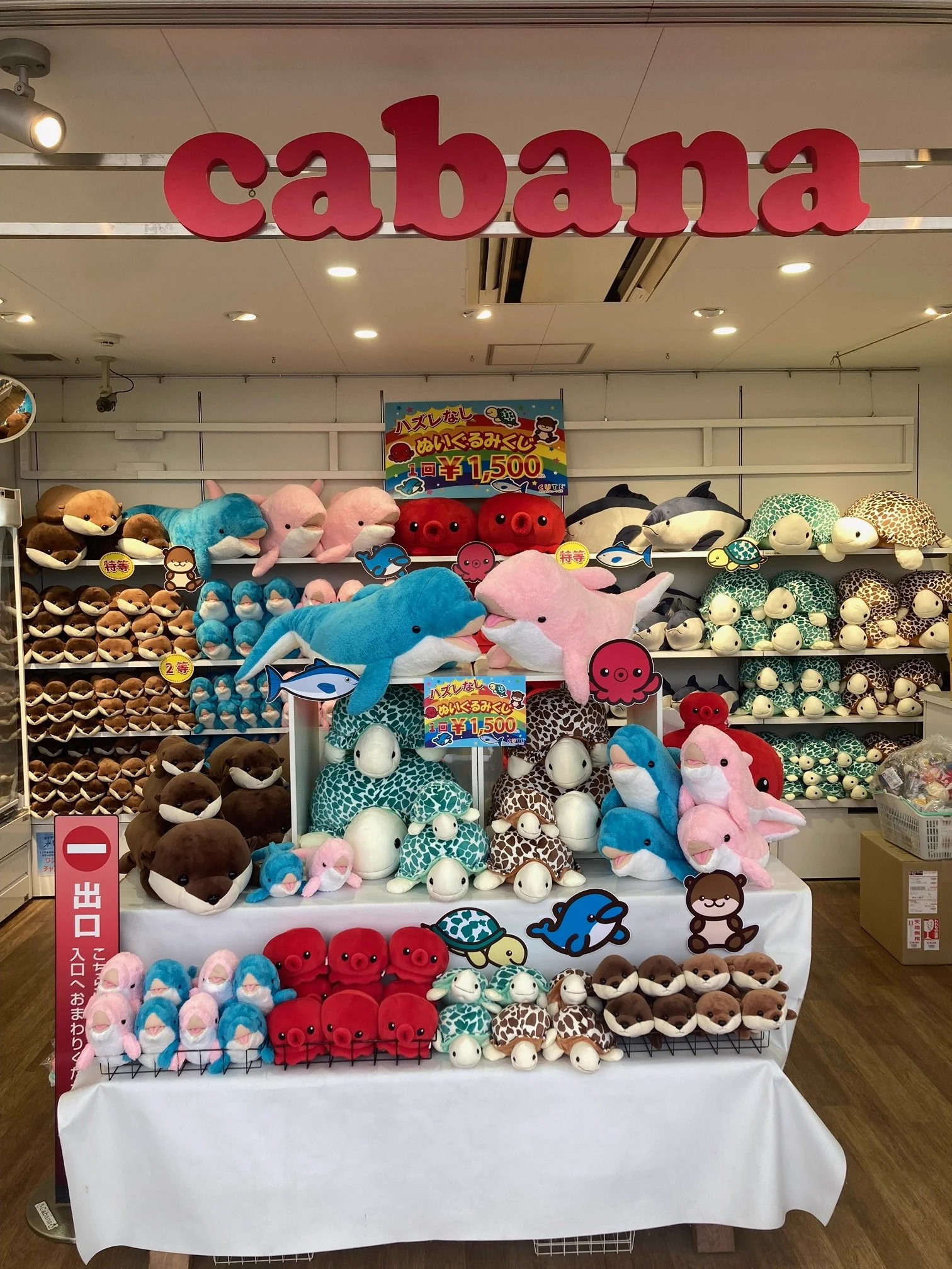 仙台うみの杜水族館公式 on X: 