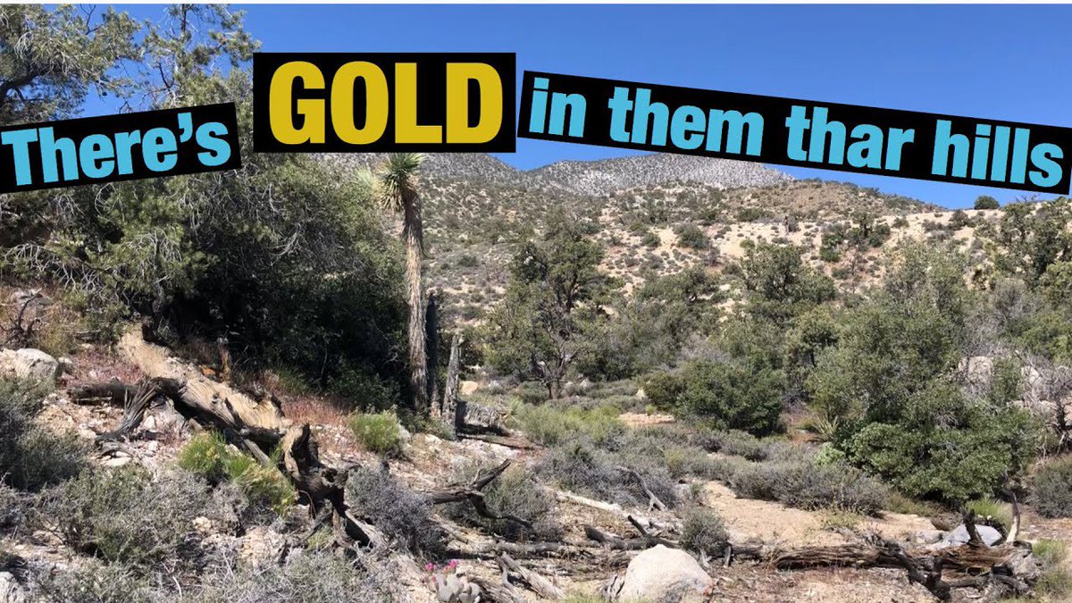 @69MimiLisa Dream on, there’s gold in them thar hills… #BidenCrimeCartel @POTUS #TheBigGuy