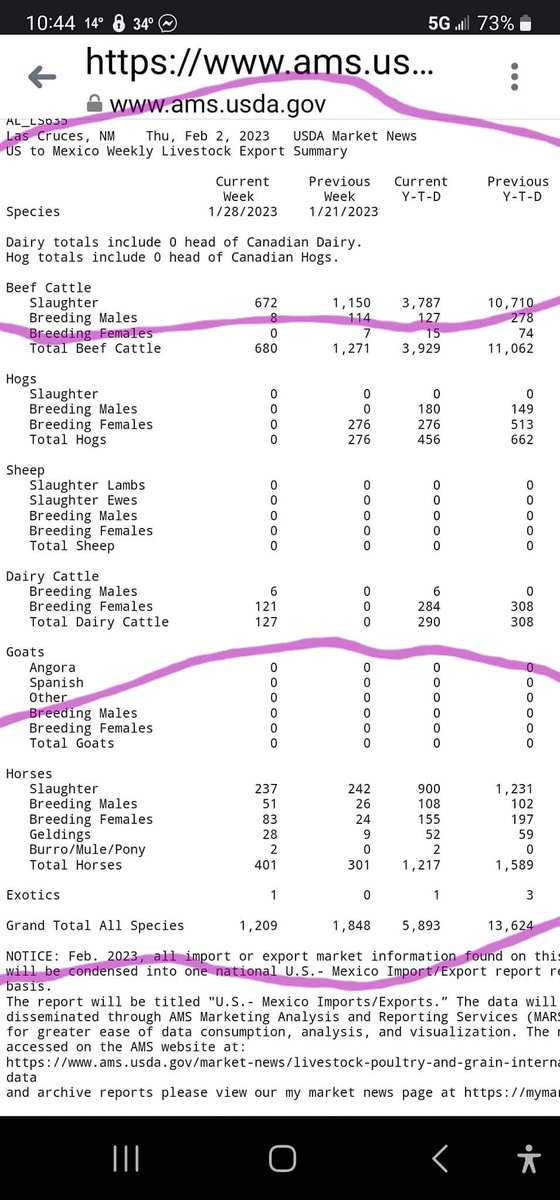 YEAR 2023: As of February 2, 2023, 
900 hundred U.S. 🇺🇸 #Horses were sent to Mexico 🇲🇽 for #HorseSlaughter to be made into food 4 human consumption.  Must pass Congressional Bill #S2732  &
#HR3355 Save America’s Forgotten Equines (SAFE) Act
#Yes2SAFE  #HorseMeat