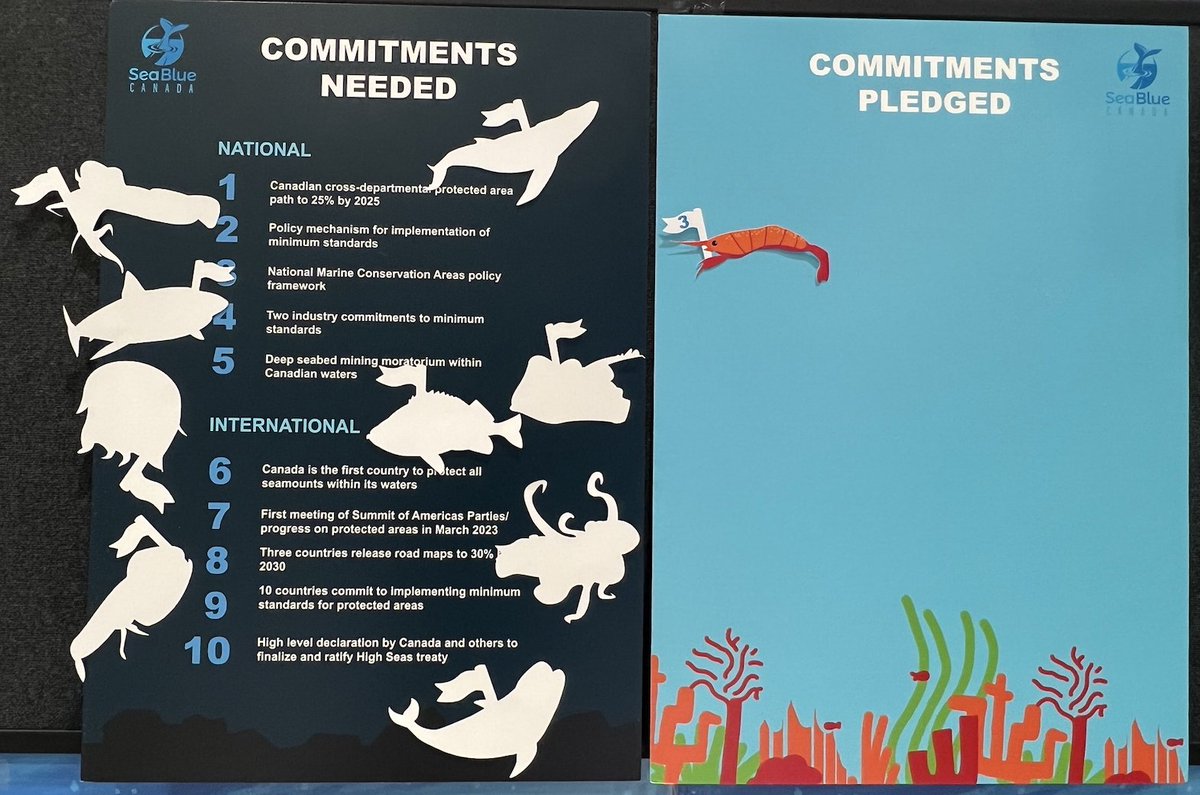 Great start at #IMPAC5 as Canadian groups celebrate the first commitment to go up on the board @SeaBlueCanada @IMPAC5Canada @FishOceansCAN @CPAWS @DavidSuzukiFDN @WCELaw @WWFCanada #OceanInTheRoom #ProtectBlueNature #ForNature #BlueNature #30x30 #OneOceanOnePlanet