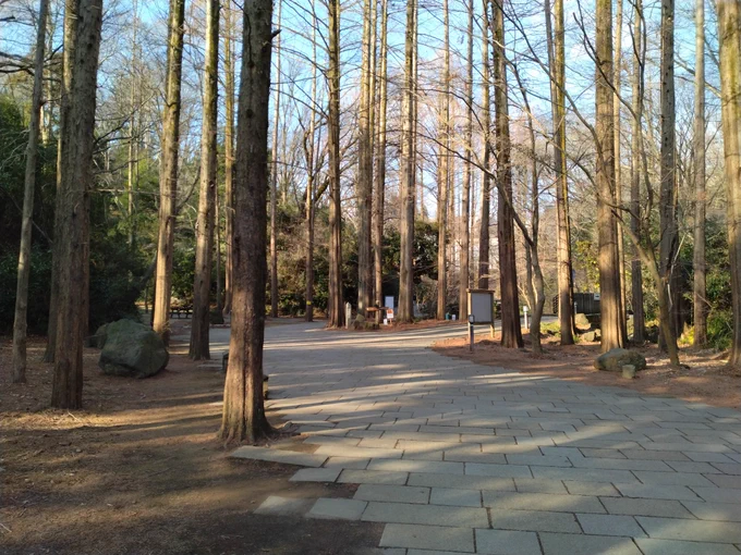 バイクで緑地公園へ散歩に 