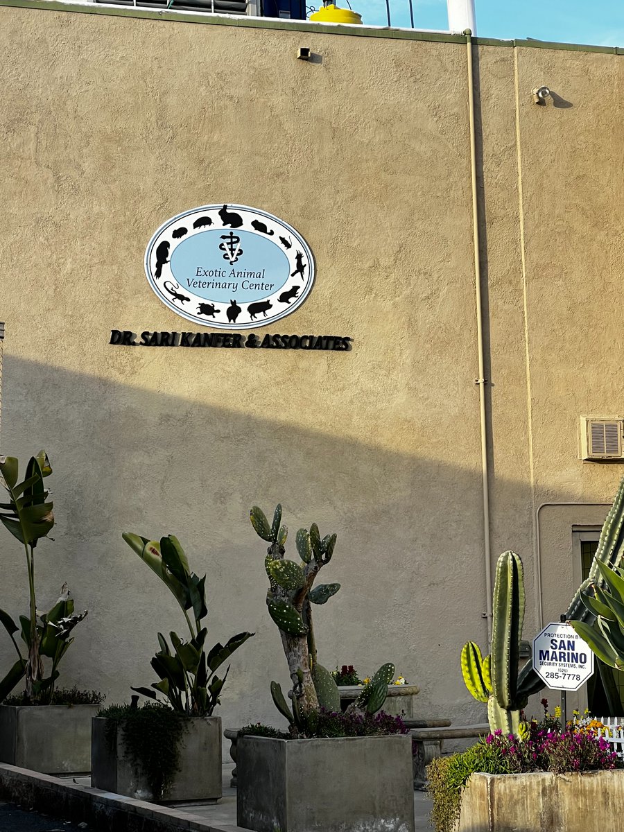 signarama_Pasa's tweet image. Upgrade your business' appearance with our stunning storefront signage! Make a lasting impression on customers and increase visibility.

#storefrontsignage #storefrontsigns #storefront #signage #signarama #signs #storefrontsign #storefronts #millwood #shoplocal #customsign