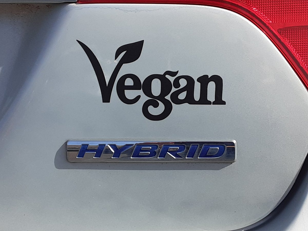 jmsmith505's tweet photo. A new sticker for my car! What do you think? #vegan https://t.co/cIQs95z0v7