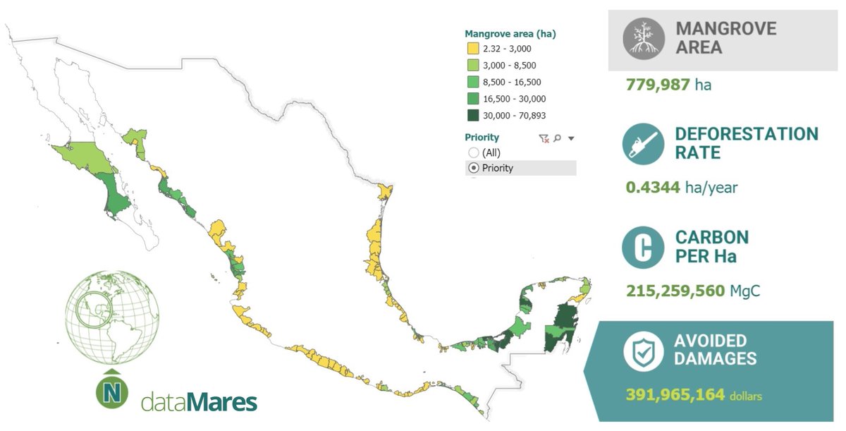 Based on a deforestation rate of 0.43% per year, damages resulting from the loss of mangrove forests in Mexico in the next 25 years will exceed $400 million USD. 

More about this study: public.tableau.com/app/profile/da…

#ForWetlands #BlueCarbon #MangroveForests #dataViz