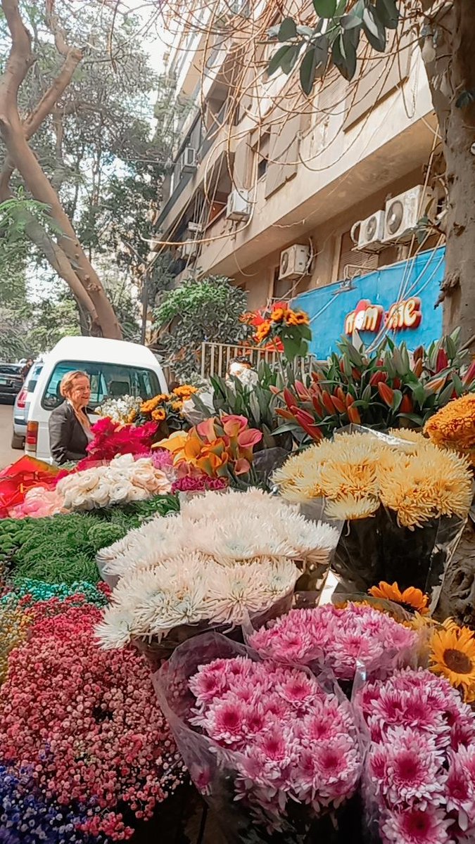 Nourhan. (@nourtarik10) on Twitter photo 