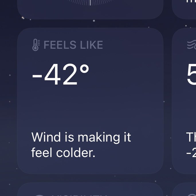 just went outside and i don't think i'll regain feelings in my limbs ever again
