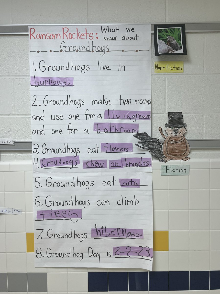 Ransom Rockets tweet media